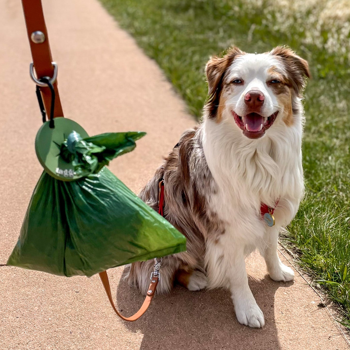 Hands-Free Poop Bag Carrier