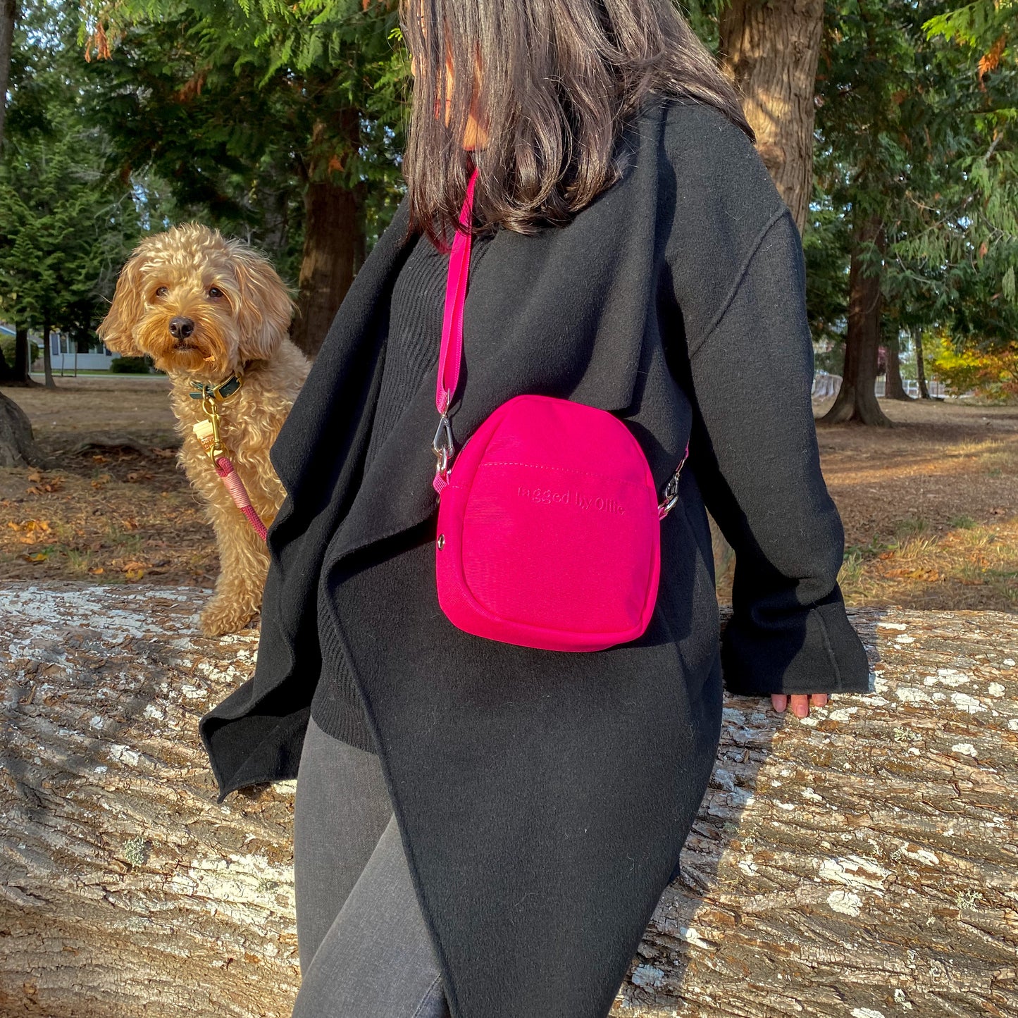 Everyday Essential Bag