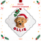 Custom Pet Portrait Ornament 2026