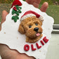 Custom Pet Portrait Ornament 2026