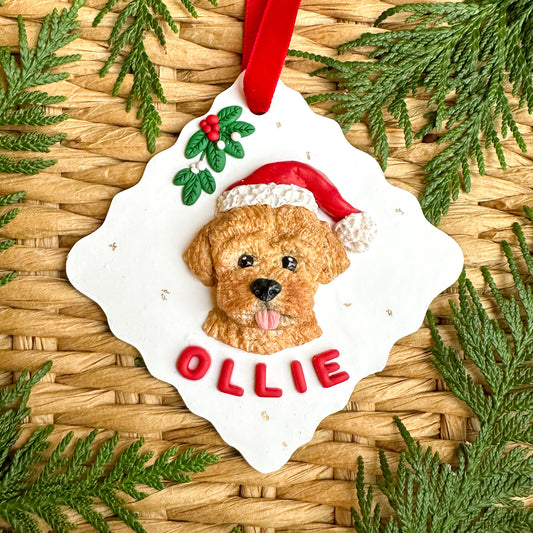 Custom Pet Portrait Ornament 2026