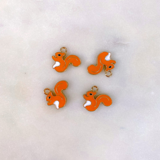 Squirrel Charm