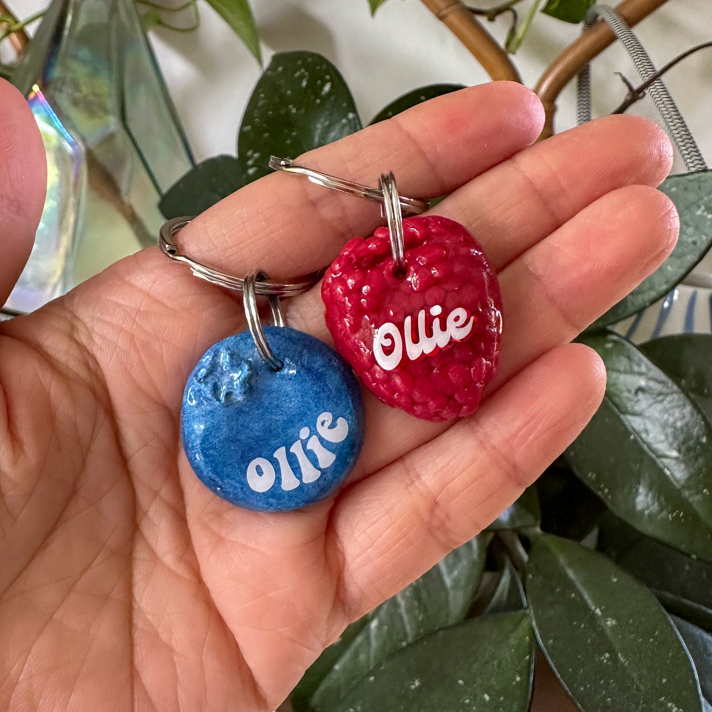 Blueberry Tag
