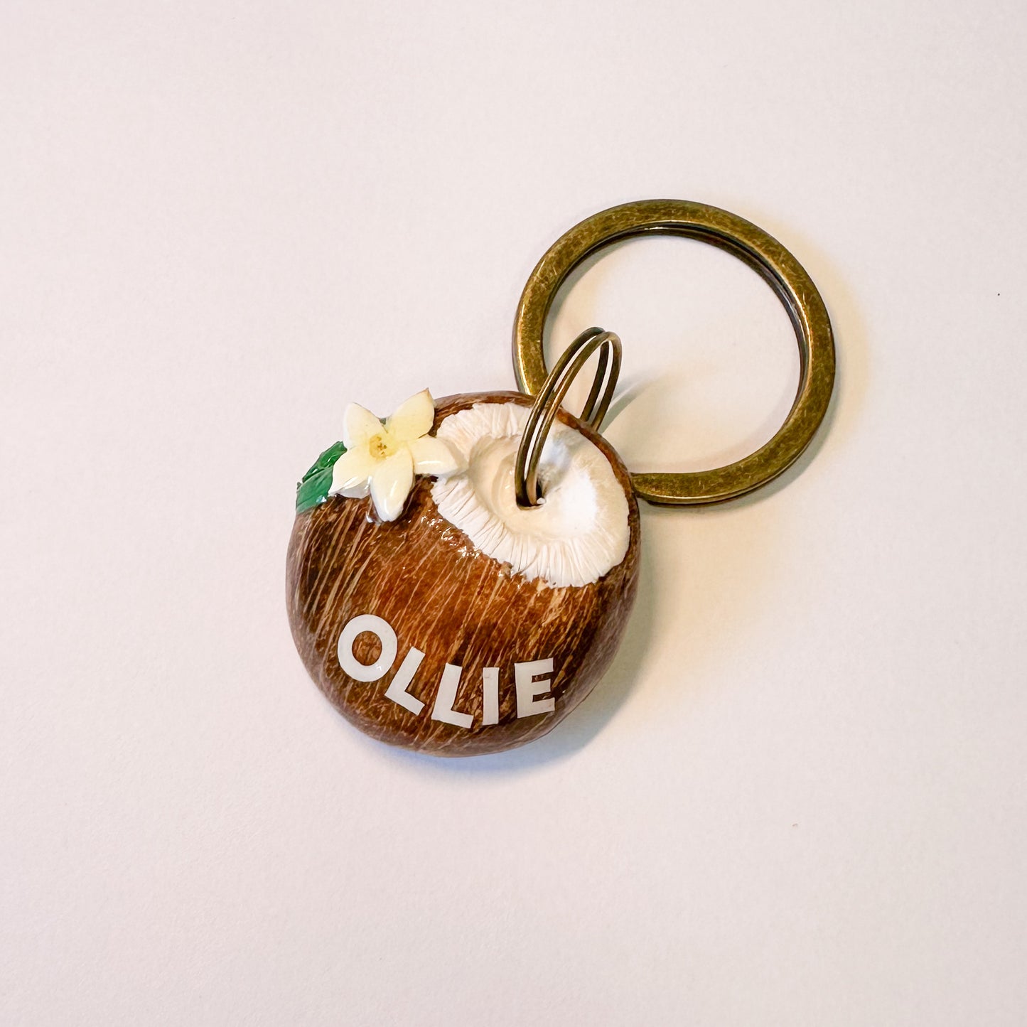 Coconut Tag