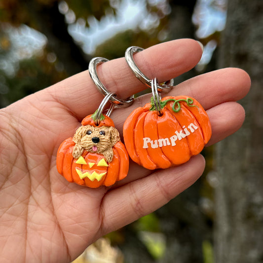 Pumpkin Tag (Updated 2026)